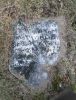 Anna White Hoyt Headstone