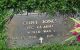 Clint Jones Headstone