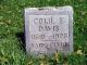 Colie Estelle Brooks Davis and Clyde Davis Headstone