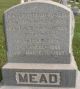 Erastus Mead and family Headstone